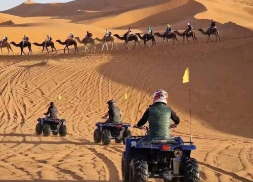 🏜️ Découvrez nos circuits dans le désert du Sahara