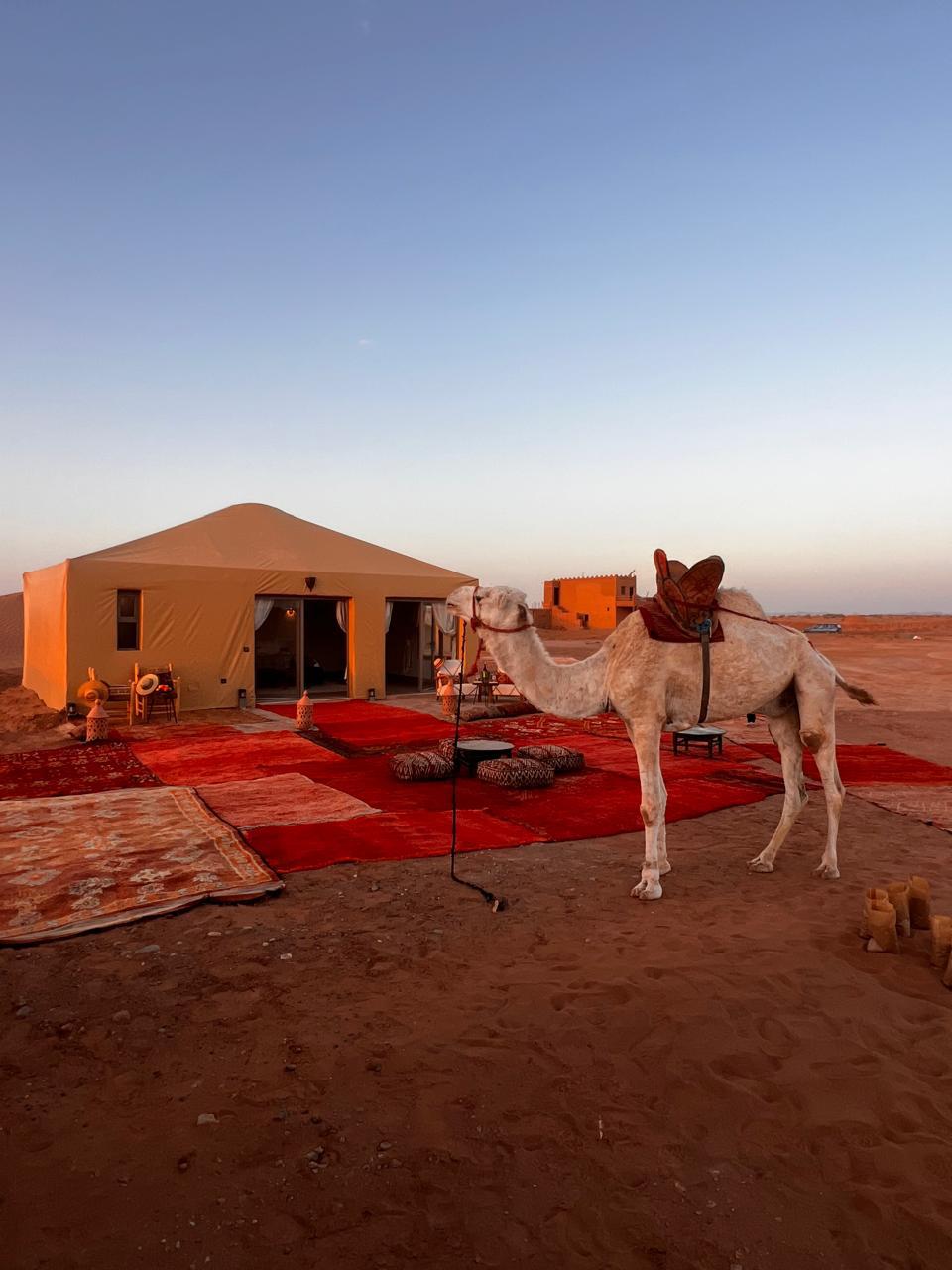 Quality Room Service