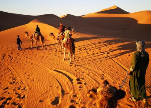 Circuits personnalisés