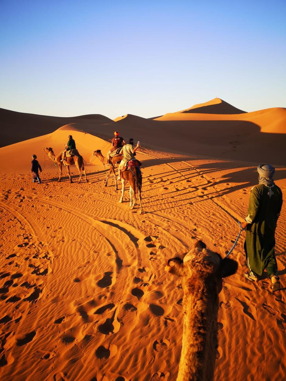 Activités & Excursions au cœur du Sahara